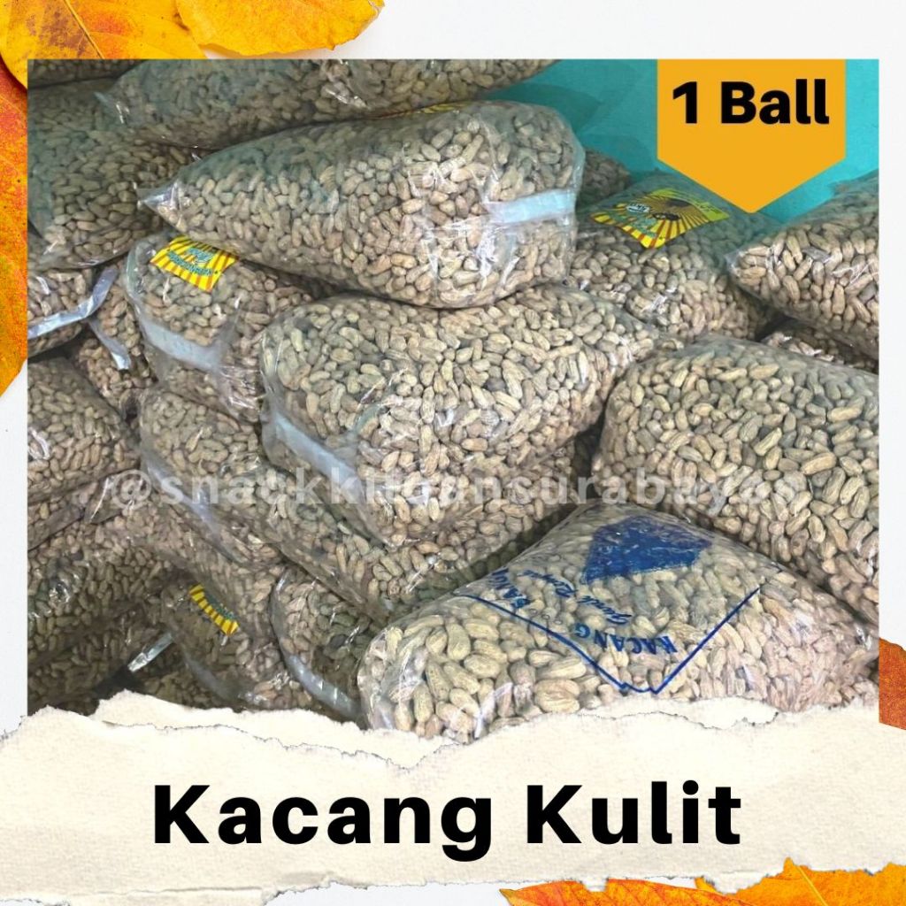 

Kacang Kulit 1 BALL ( 5KG )/ Kacang Kulit Asin Gurih/ Snack Kiloan Murah/ MAK E DOR