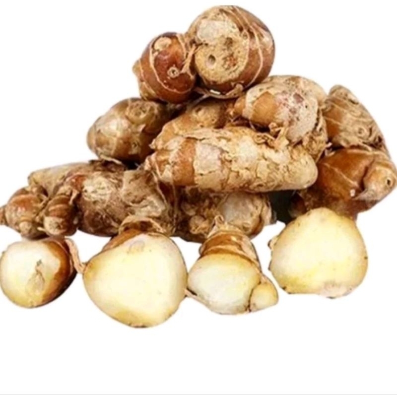 

Kencur Segar 500gr Bumbu Seblak dan Masakan