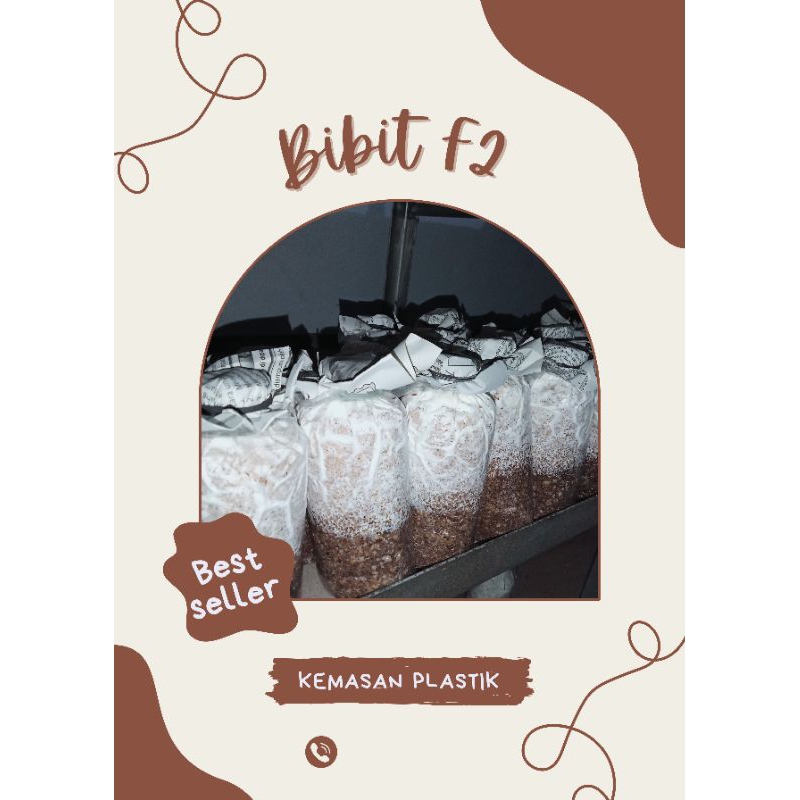 Bibit Jamur Tiram F2 Kemasan PLASTIK Berkualitas Termurah || Media jagung pecah mix serbuk