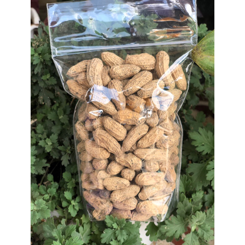 

kacang kulit super goreng sangrai 450 gram khusus kemasan pouch |rasa renyah, gurih , dijamin tidak mlempem karna langsung dari produsen