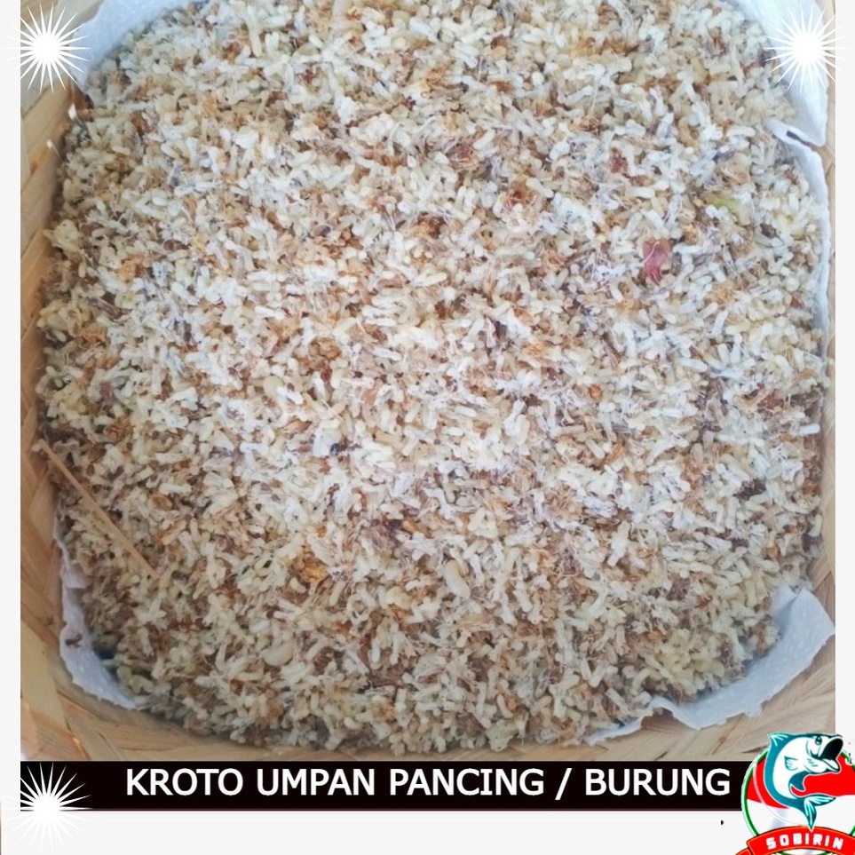 Penjualan Pilihan  kroto super kering pera keroto semut