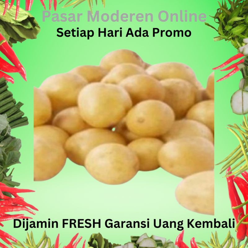 

KENTANG RENDANG/KENTANG KECIL/BABY KENTANG SEGAR 500 GRAM