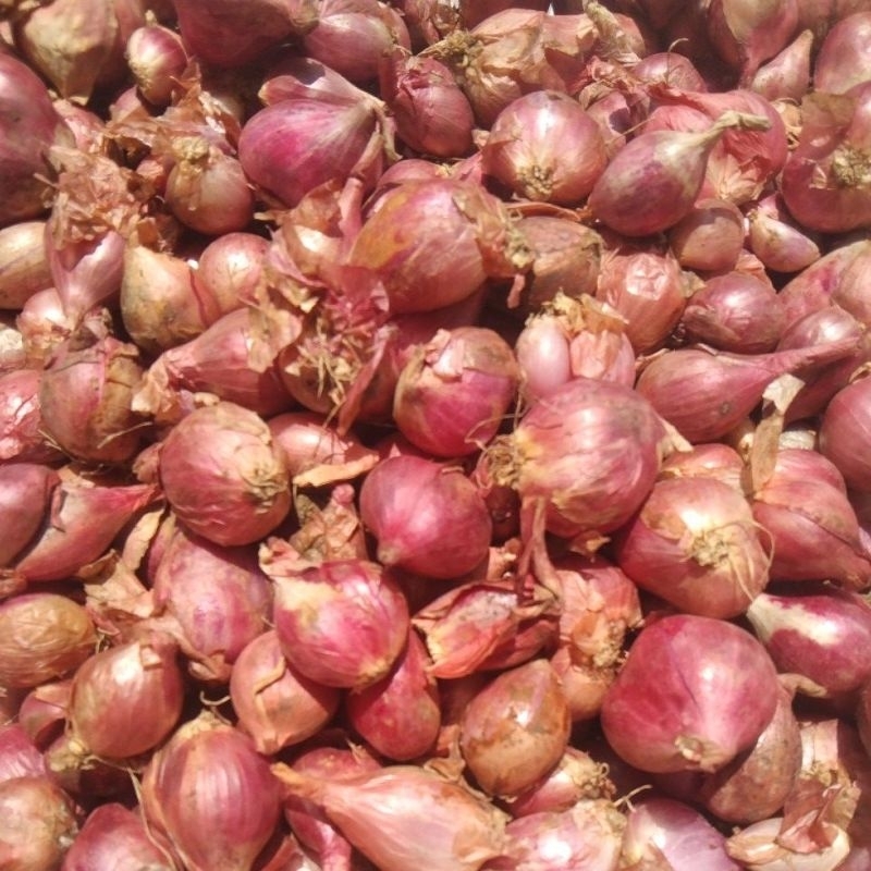 

BAWANG MERAH