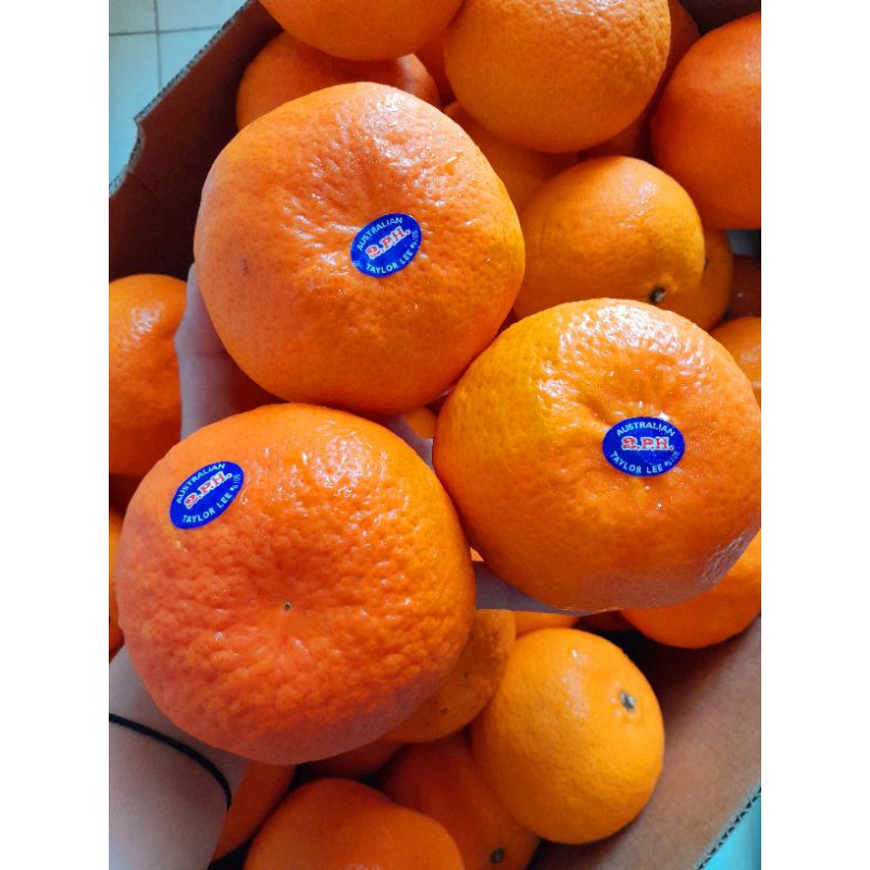 

Jeruk Taylor Lee Australia fresh manis sekali bnyk air /500gr