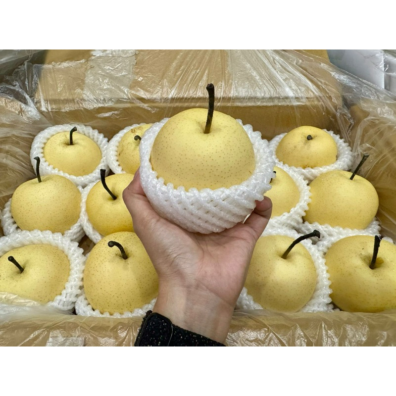 

FRESH FRUIT PEAR CENTURY MANIS | PIR | 1KG | ISI 4pcs