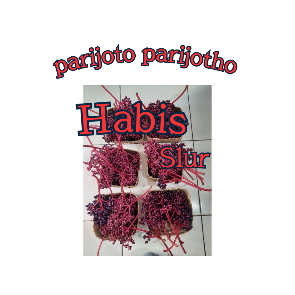 

Parijotho 350 ml herbal alami Penyubur wanita program hamil