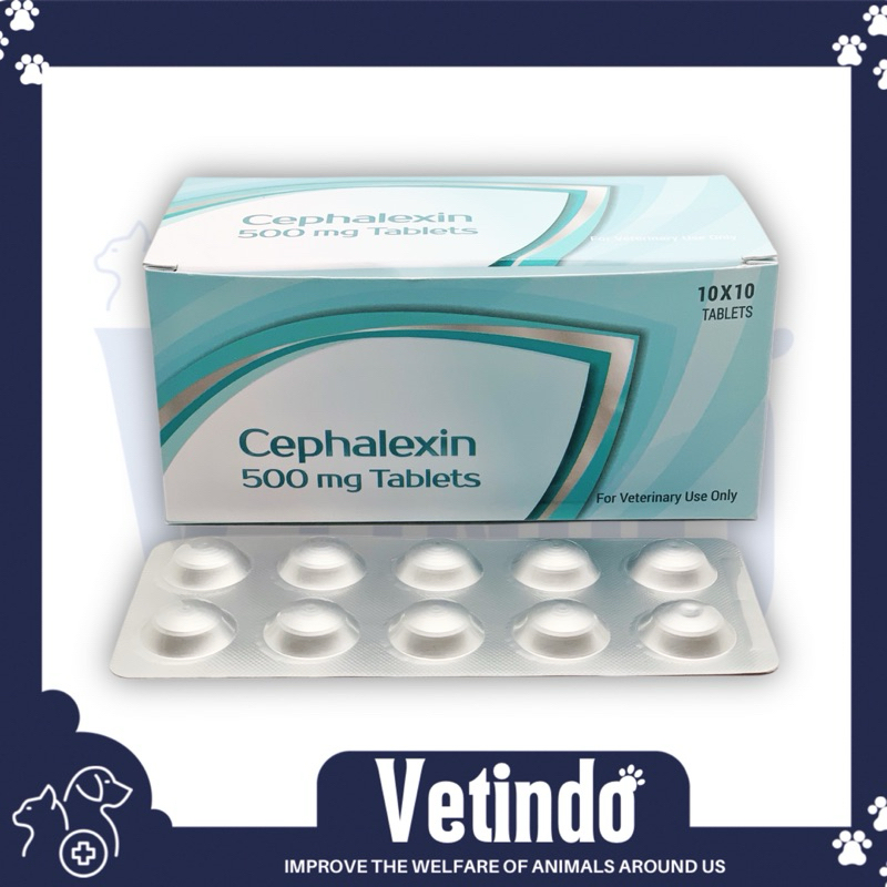 Cefalexin 500mg Obat antibiotik Anjing Kucing Tablet original per strip