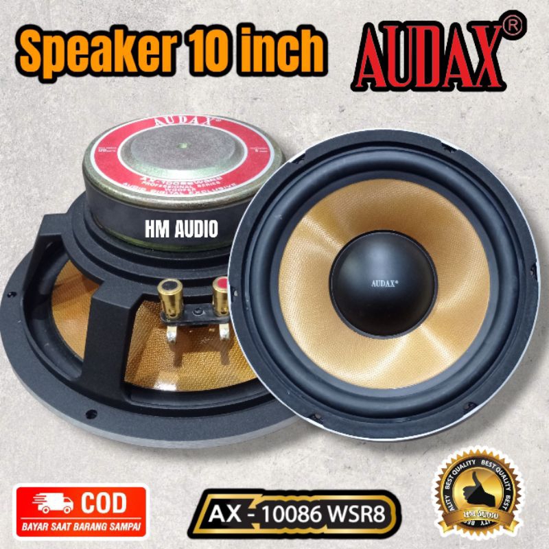 Speaker 10 inch Audax AX-10086 WSR8 Professional Series Woofer frame babet / cor
