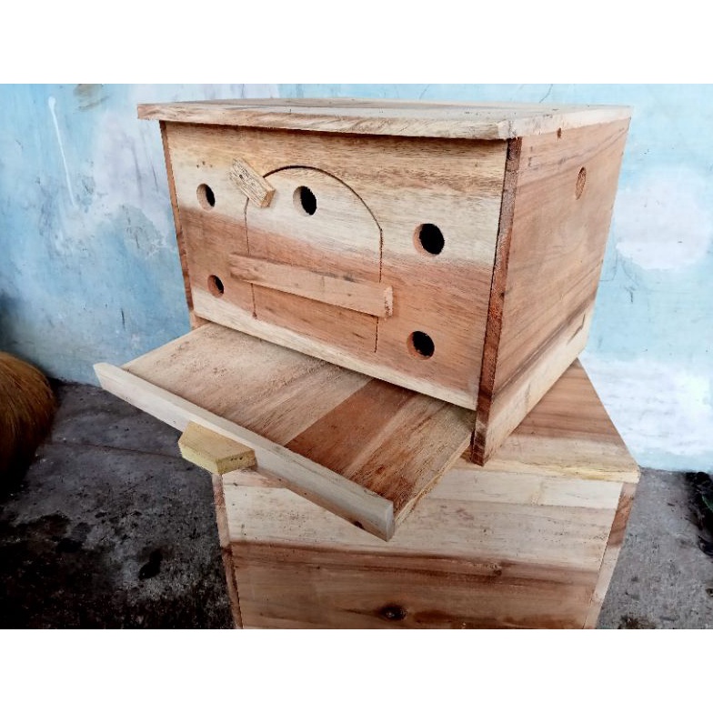 KODE Q34T Gupon Merpati Pagupon Rumah Burung Dara Terlaris Murah