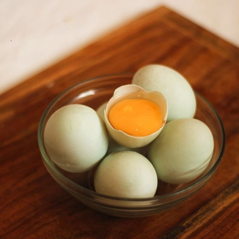 

TELUR BEBEK ORGANIK PASTURE RAISED MANDAGANICS | LULUS UJI LAB BEBAS BAKTERI