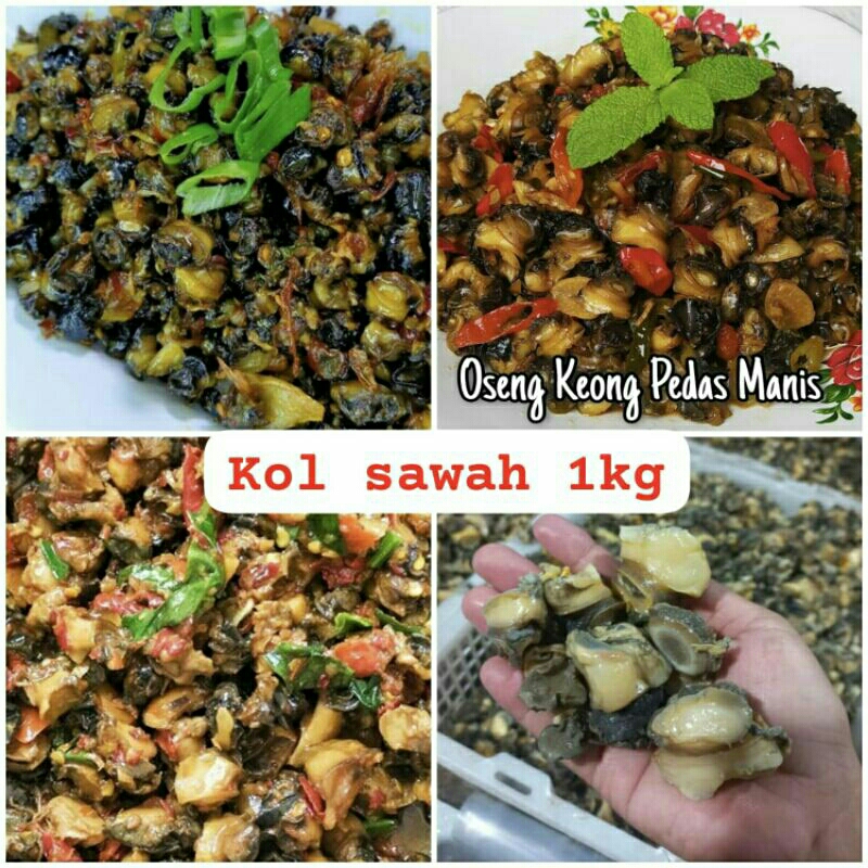 

Daging Kol Sawah (Fresh Frozen)