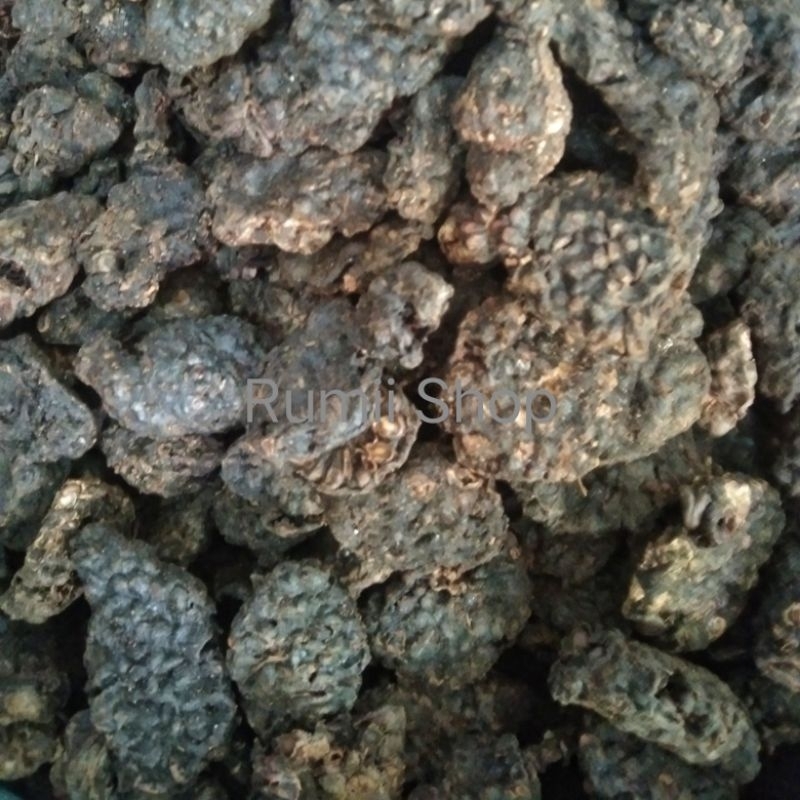 

Mengkudu kering/pace kering