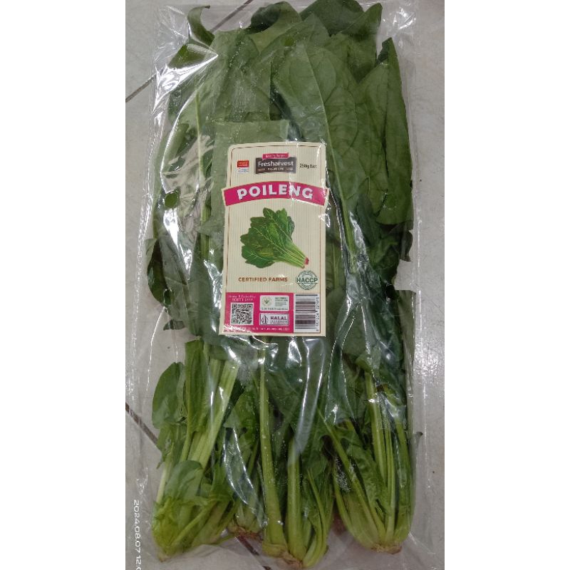 

Poileng/Bayam Jepang/Bayam horenso/Horenzo