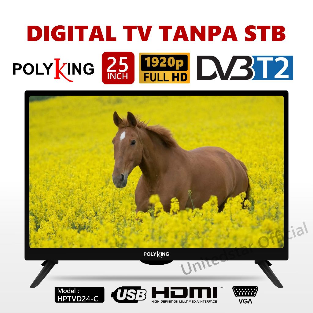 Polyking TV Digital 25 inch-C - HPTVD24-C