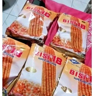 Benih jagung bisi 18 1kg bibit jagung hibrida Bisi18 1kg