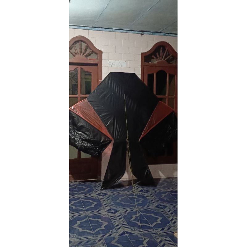 LAYANGAN COTEK BLOLONG