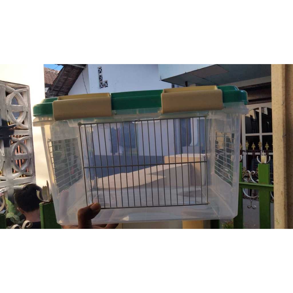 Box Hamster Reptil Gecko ular