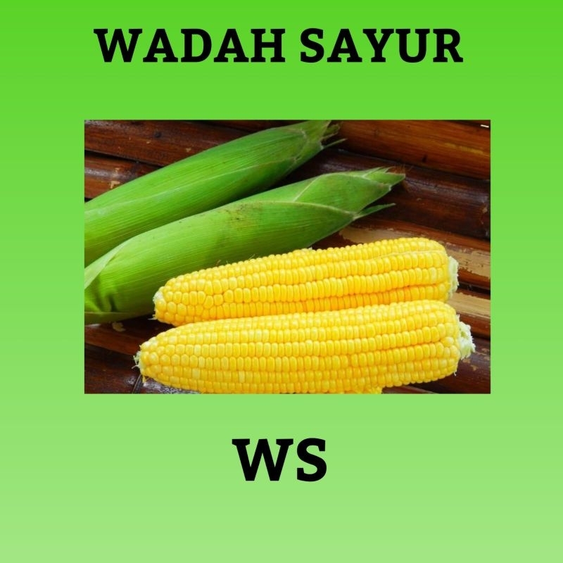 

Jagung Manis Kupas Fresh ( 1 Kilo ) | Wadah Sayur Bogor
