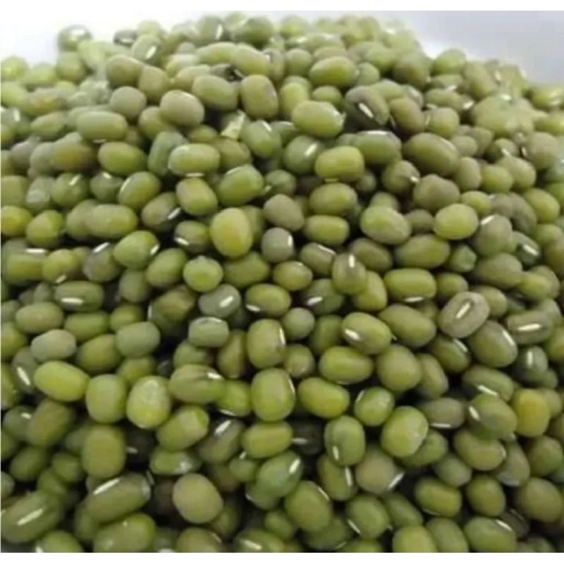 

1 Kg kacang hijau Mentah/ kacang hijau murah / kacang hijau kualitas super / kacang hijau terbaik
