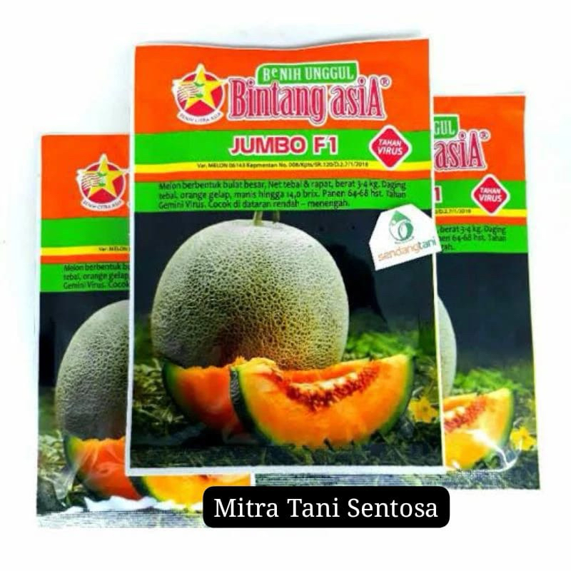 Benih bibit Melon JUMBO F1 20 gram