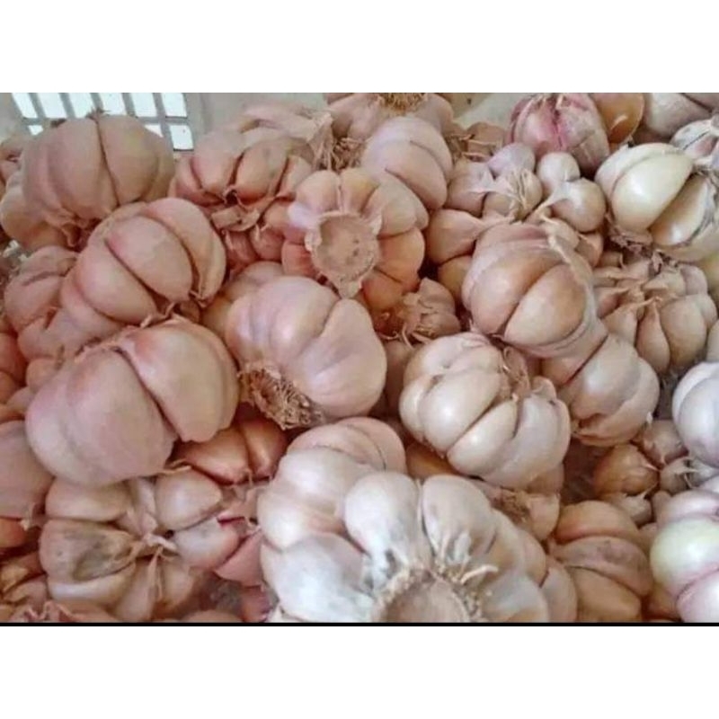 

Bawang Putih 500gr - Kirim Instan