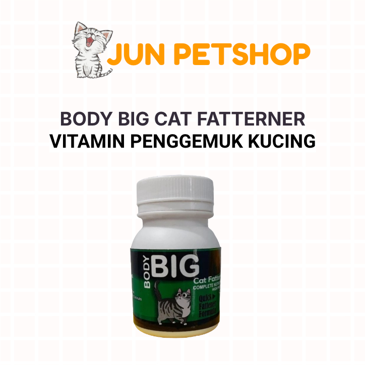Body Big Cat Fattener Vitamin Penggemuk Kucing