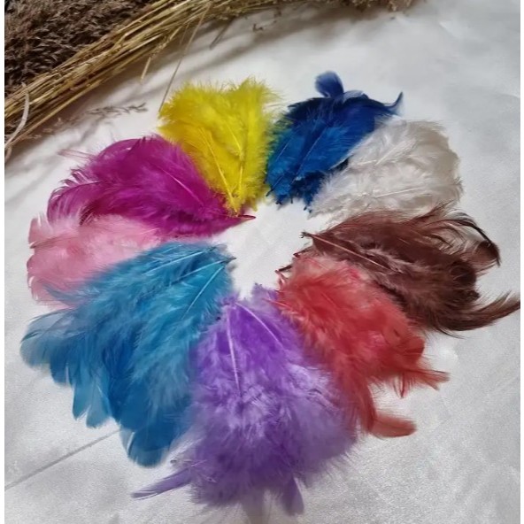 ⚡️HOT PROMO⚡️Bulu Ayam / Aksesoris Tambahan Bulu Ayam / Bulu Ayam Warna-Warni / Bulu Ayam Hias