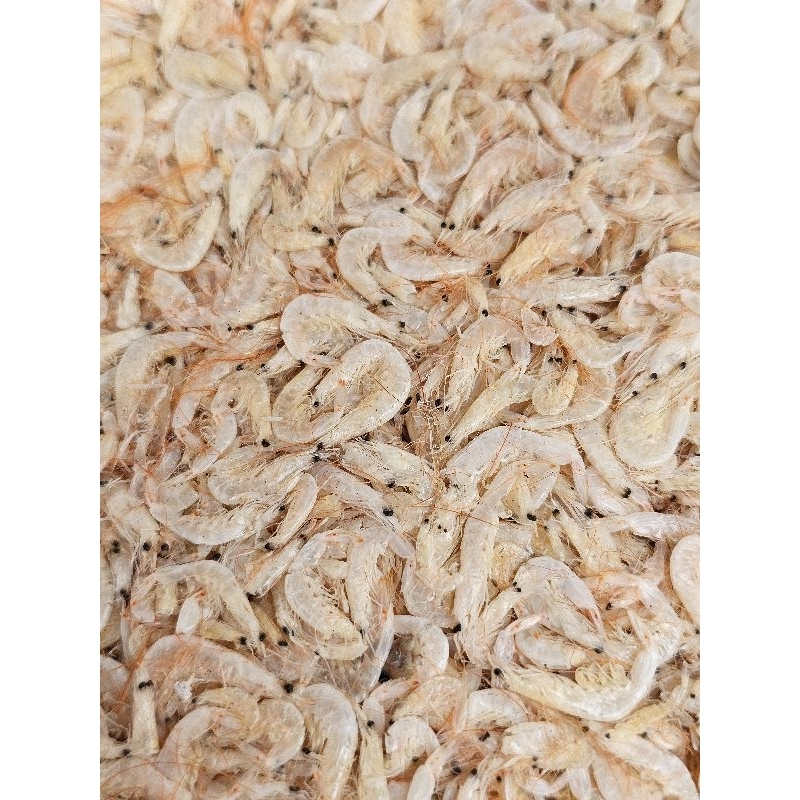 

Udang Reborn Happy umpan mancing