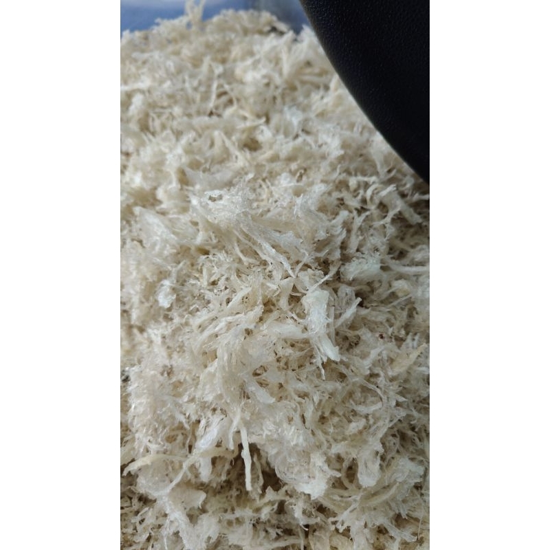 

sarangburungwaletbersihTrikasar_20gram_50gram