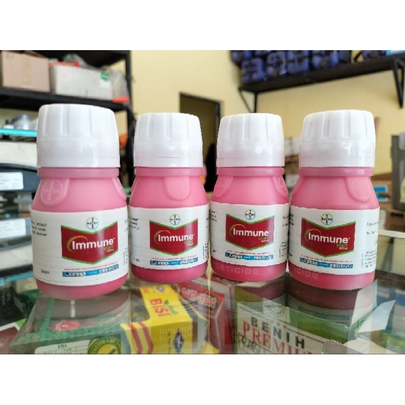 fungisida sistemik IMMUNE START 200/80 FS 50ml ( obat bulai jagung )