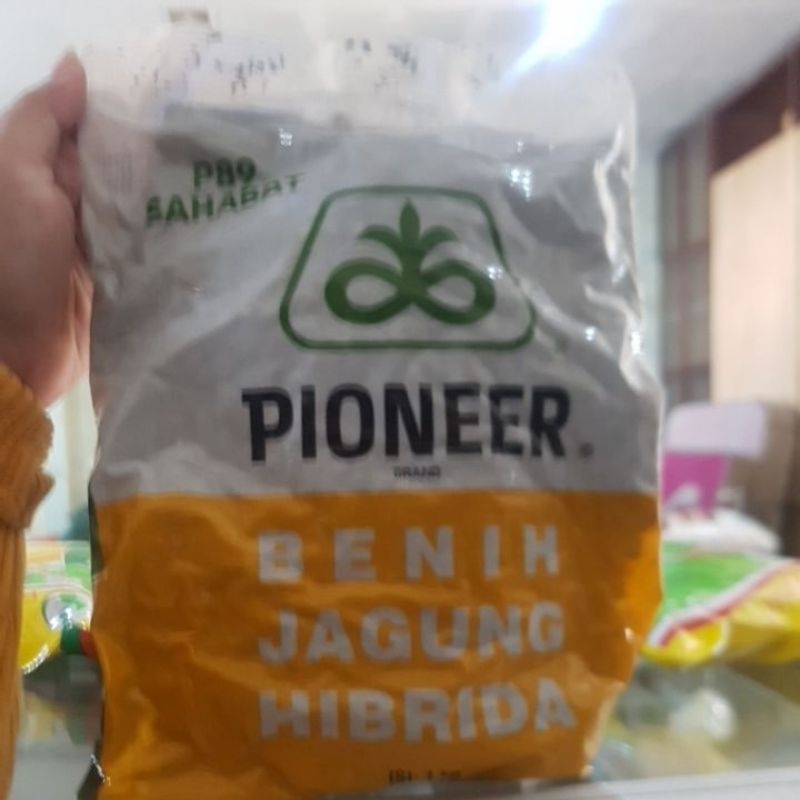 

jagung p89