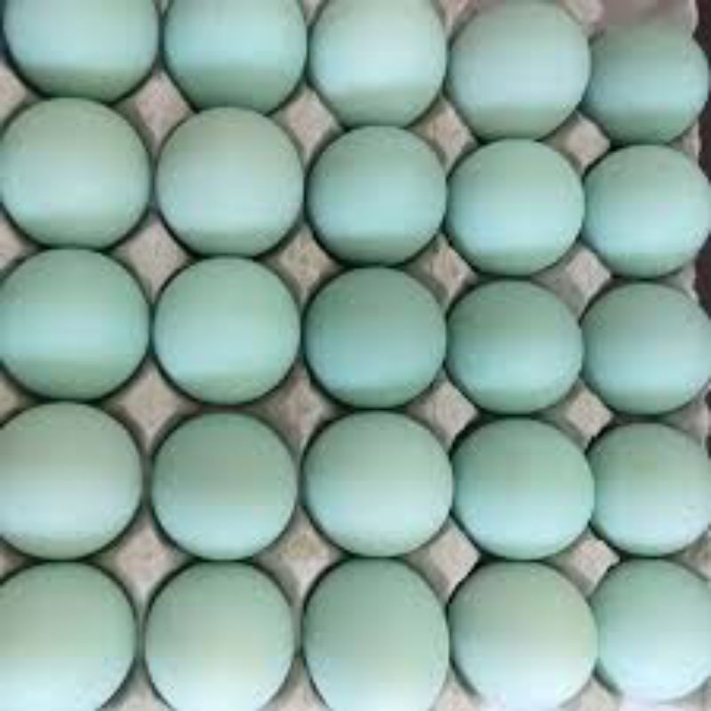 

telur bebek 1 pireng