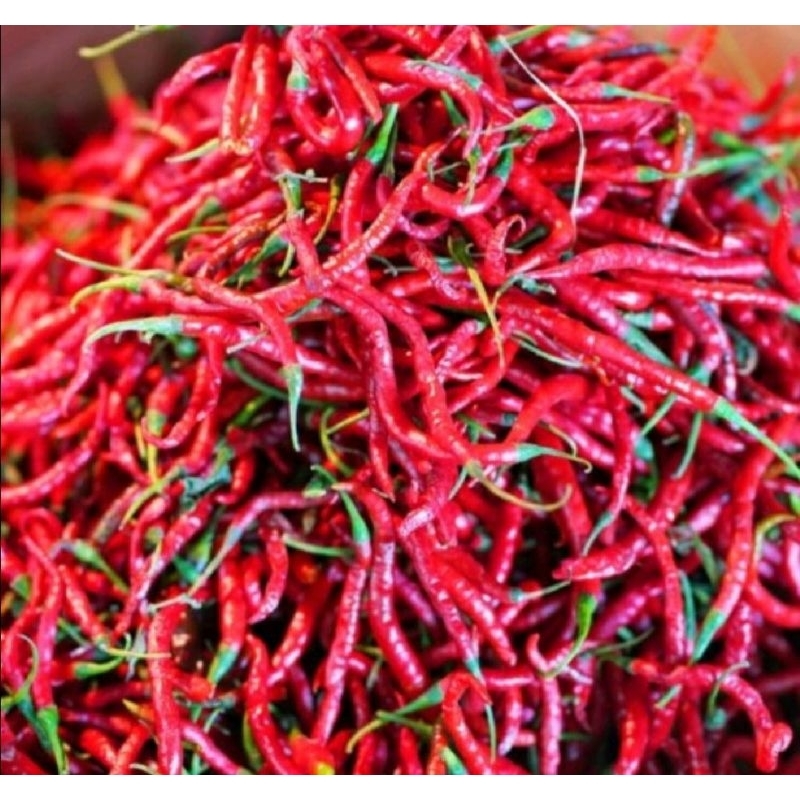 

CABE MERAH KERITING FRESH 100 GR