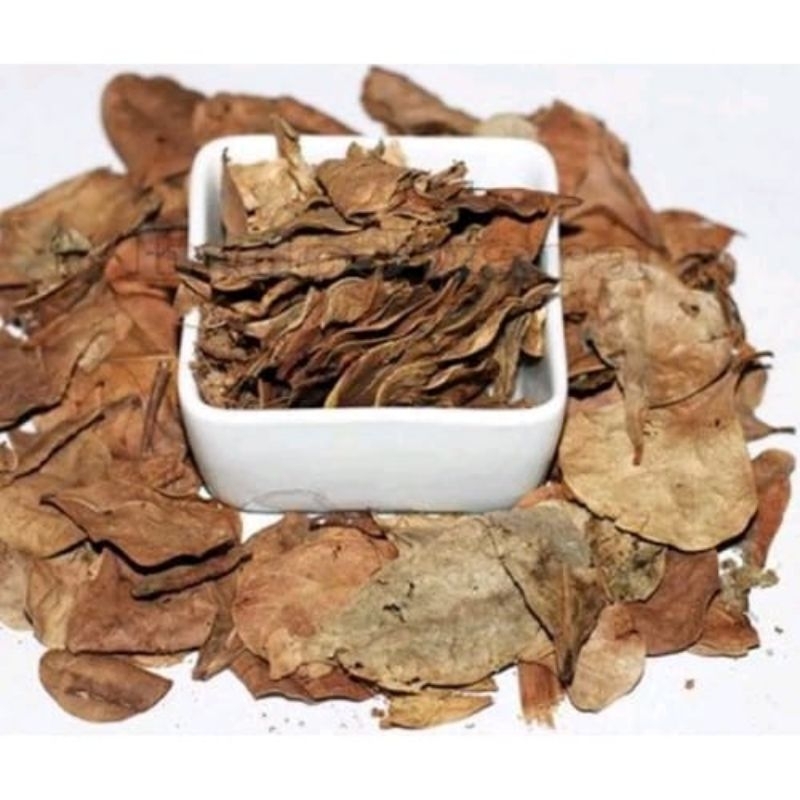 

Daun Tabat Barito Kering 500gr bisa cod