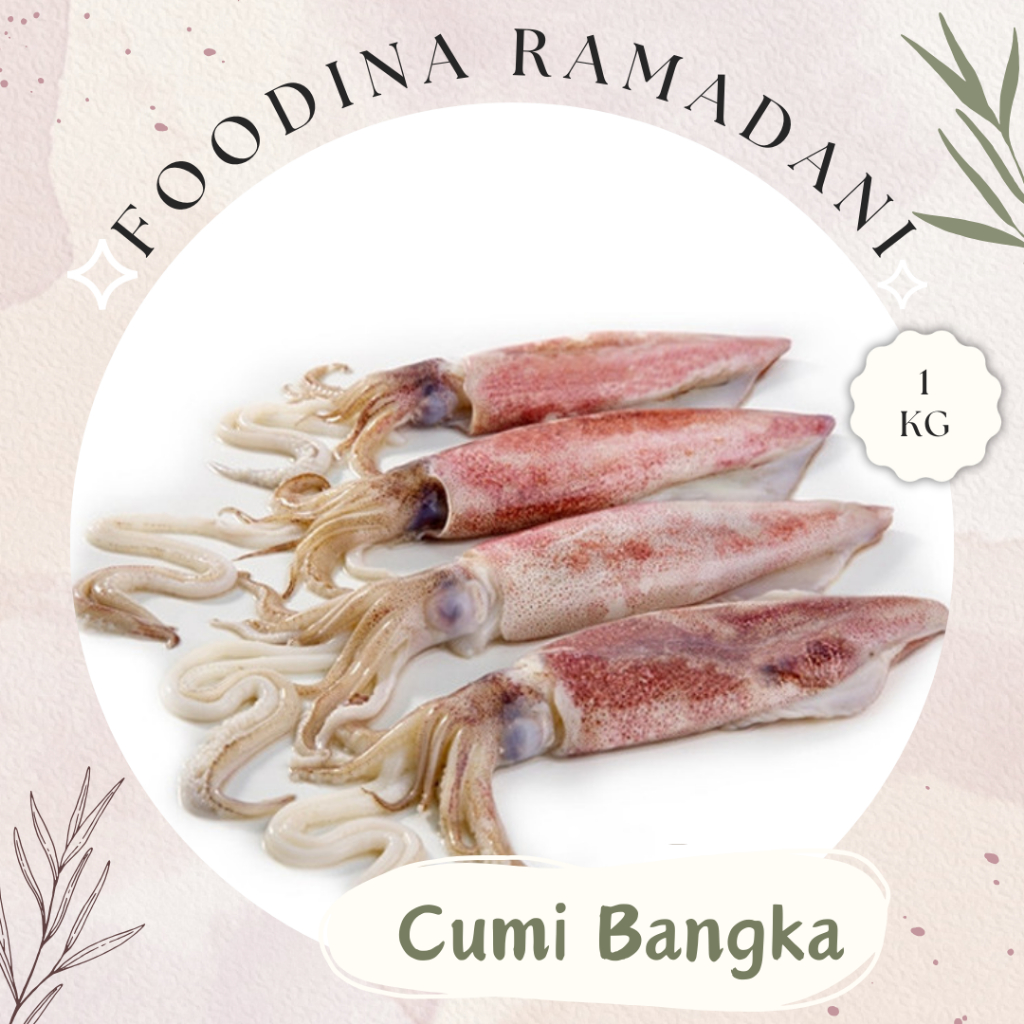 

CUMI Bangka - Squid Fresh [ Size M/L Berat 1.000gr ] Harga Per KG