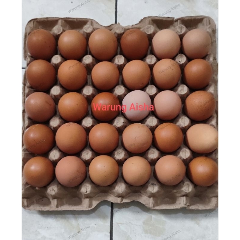 

Telur Telor Ayam Eropa Broiler 1 Papan