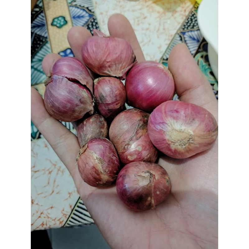 

SATU DUS ISI BAWANG MERAH GEDHE CAMPUR SEDANG KUALITAS TOP