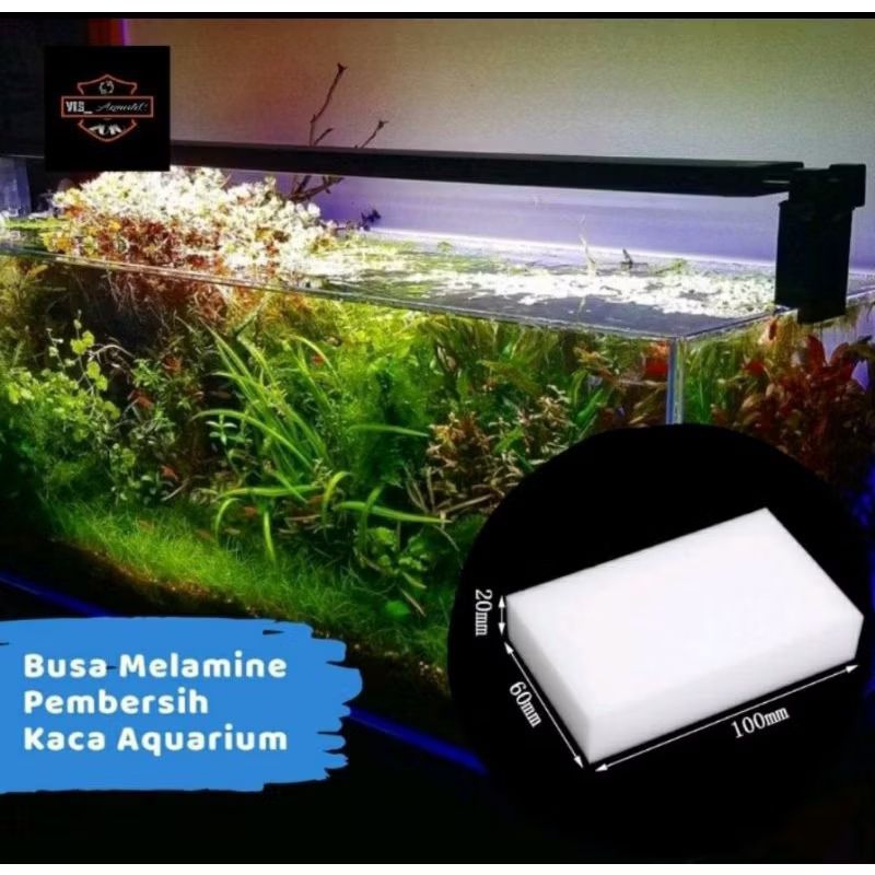 Magic spoon / spons busa ajaib pembersih kaca aquarium