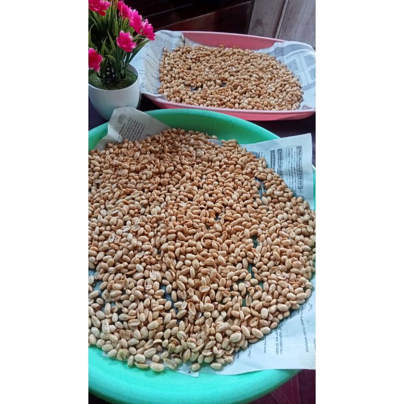 

cemilan kacang bawang murah