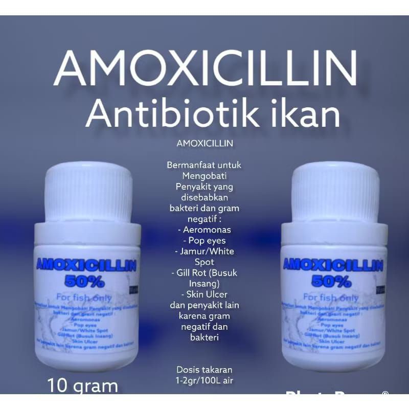 Amoxillin obat ikan 10g antibiotik ikan