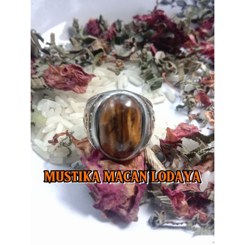 cincin macan lodaya