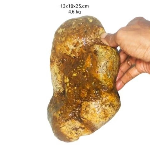 batu bahan akik badar emas piryte(57)