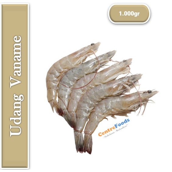 

Udang Vaname - Udang Putih Fresh | Size S 1.000gr [ Harga Per KG ]