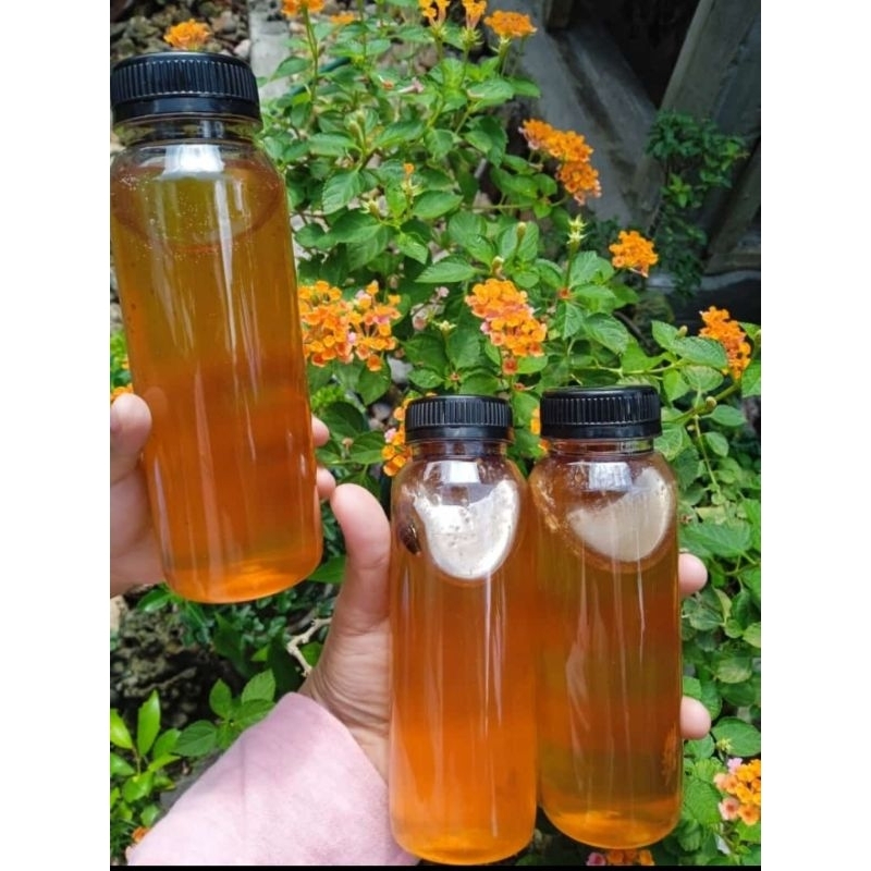 

MADU HUTAN PALI / MADU MANIS/ MADU ASLI/ MADU KESEHATAN