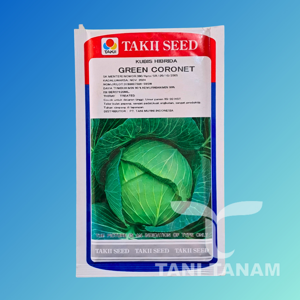 GREEN CORONET KUBIS TAKII SEED // GRIN KORONET KUBIS