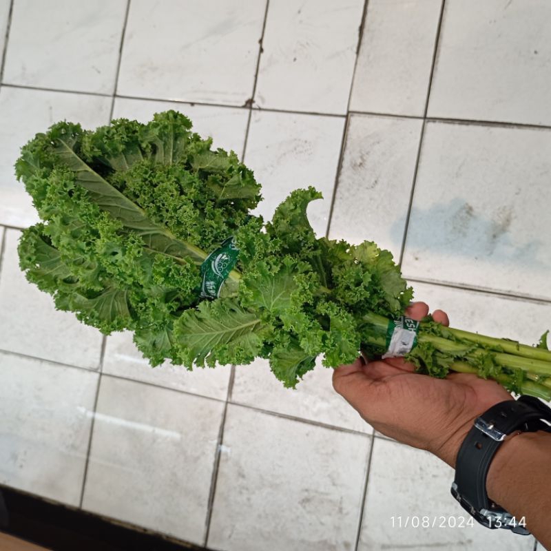 

Kale Keriting Segar 200 gram sayur fresh