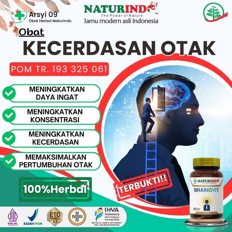 Suplemen Nutrisi Otak Tingkatkan Kecerdasan Daya Ingat Vitamin Otak Anak Cerdas dan Dewasa Brainovit