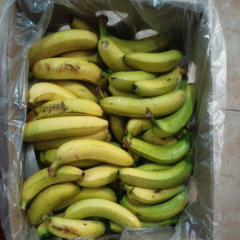 Pisang Cavendish Sunpride Satuan