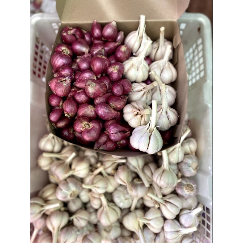 

paket merah putih bamer 500gr dan baput kating 500gr