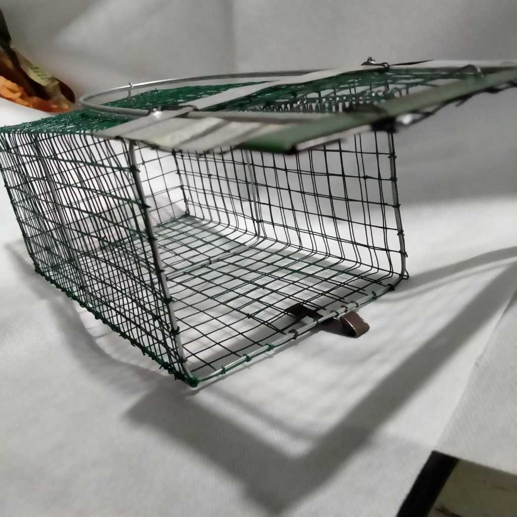 Perangkap Tikus Senteg ampuh basmi tikus tanpa bau